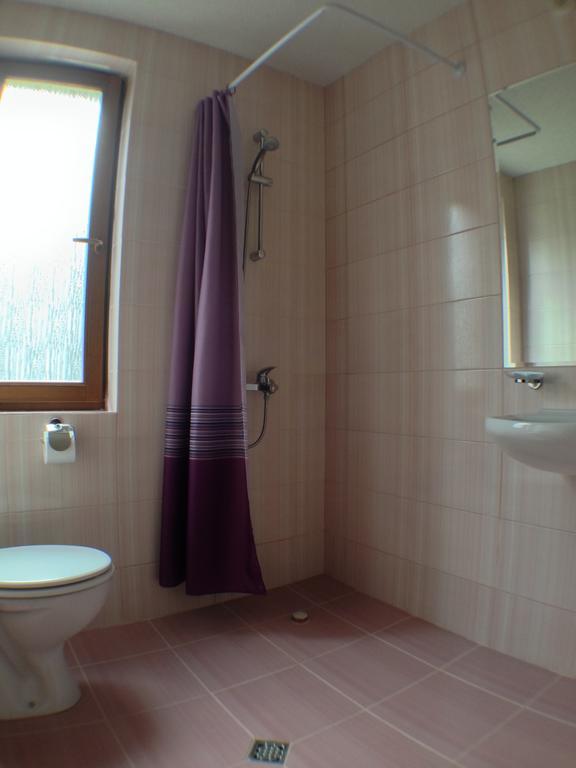 Mala Planina Guest House Iskrets Rum bild