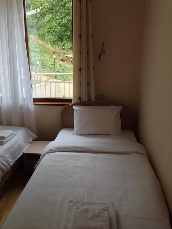 Mala Planina Guest House Iskrets Rum bild