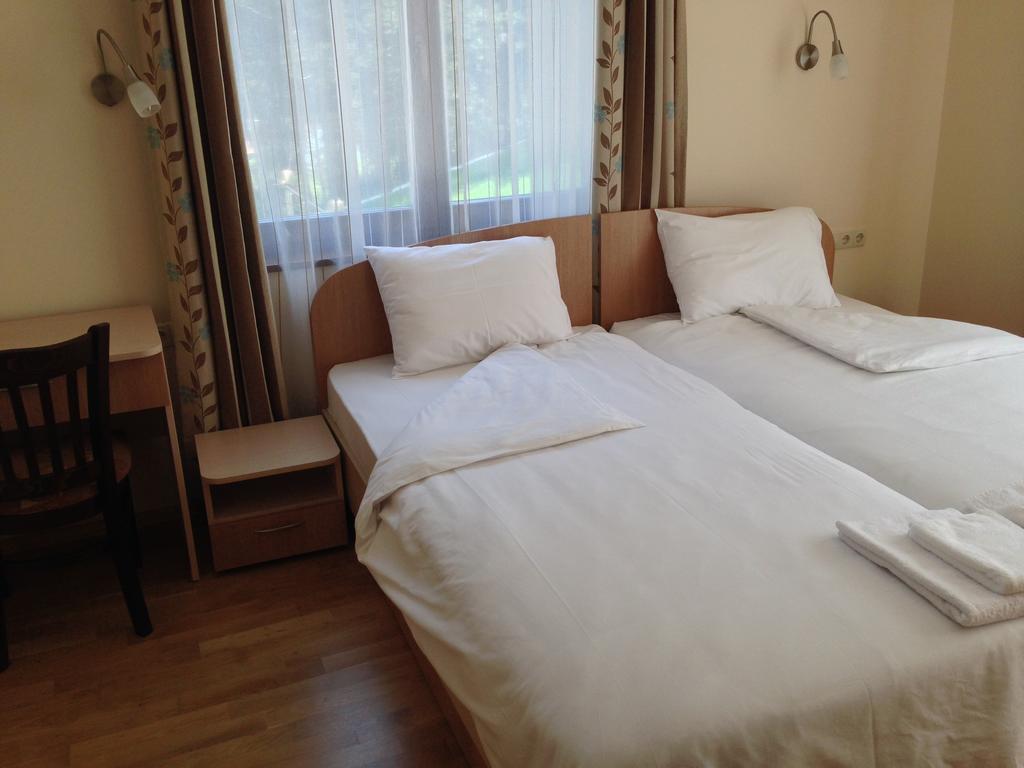 Mala Planina Guest House Iskrets Rum bild