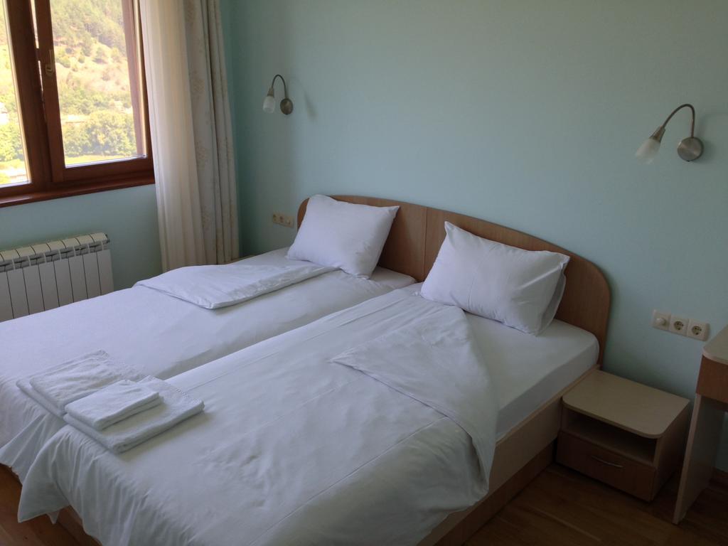 Mala Planina Guest House Iskrets Rum bild