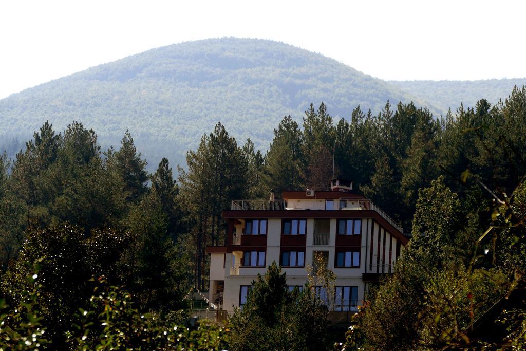 Mala Planina Guest House Iskrets Exteriör bild